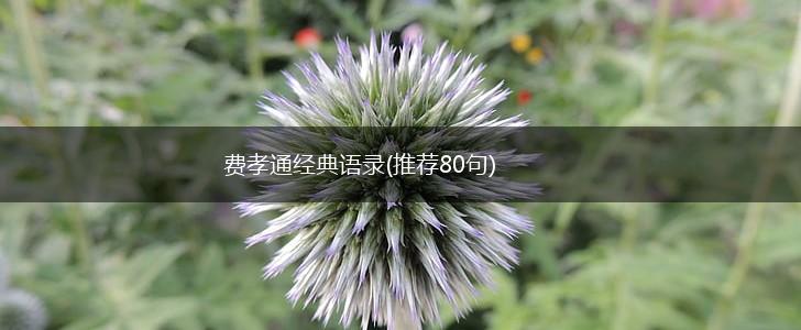 费孝通经典语录(推荐80句),第1张