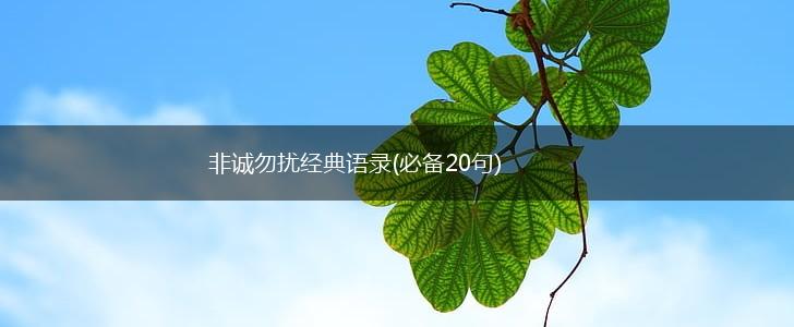 非诚勿扰经典语录(必备20句),第1张