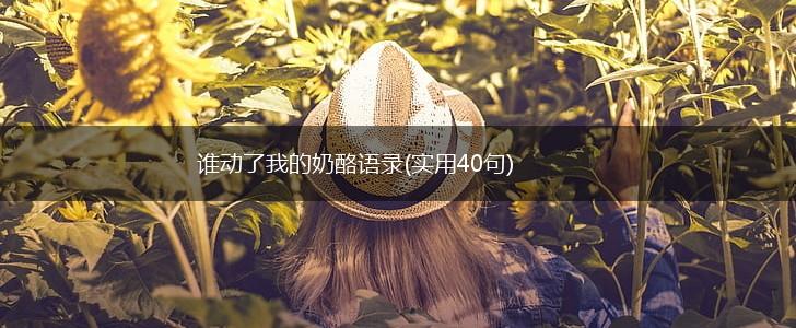 谁动了我的奶酪语录(实用40句),第1张
