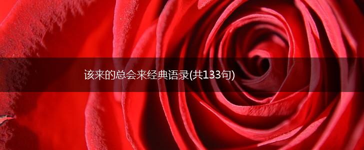 该来的总会来经典语录(共133句),第1张