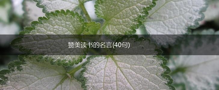 赞美读书的名言(40句),第1张