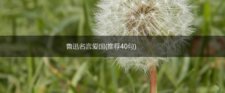 鲁迅名言爱国(推荐40句),第1张