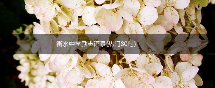 衡水中学励志语录(热门80句),第1张