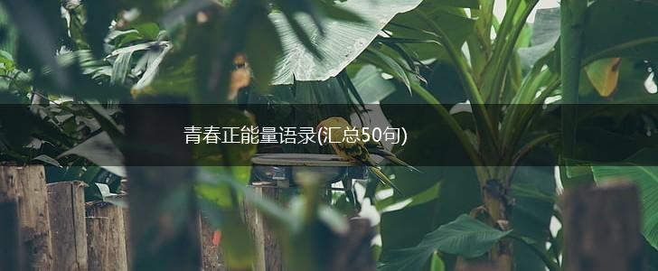 青春正能量语录(汇总50句),第1张