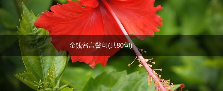 金钱名言警句(共80句),第1张 金钱名言警句(共80句),第1张