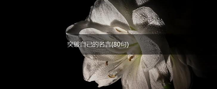 突破自己的名言(80句),第1张 突破自己的名言(80句),第1张