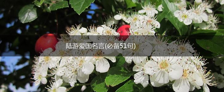 陆游爱国名言(必备51句),第1张