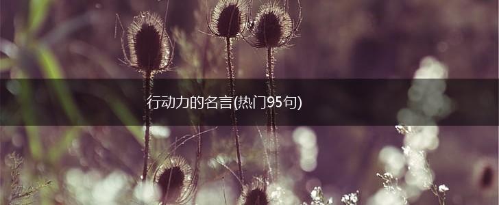 行动力的名言(热门95句),第1张