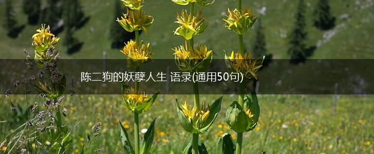 陈二狗的妖孽人生 语录(通用50句),第1张