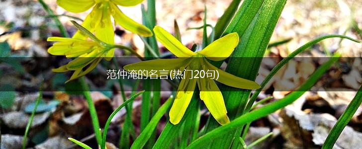 范仲淹的名言(热门20句),第1张