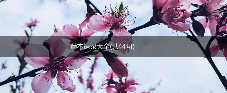 赫本语录大全(共44句),第1张