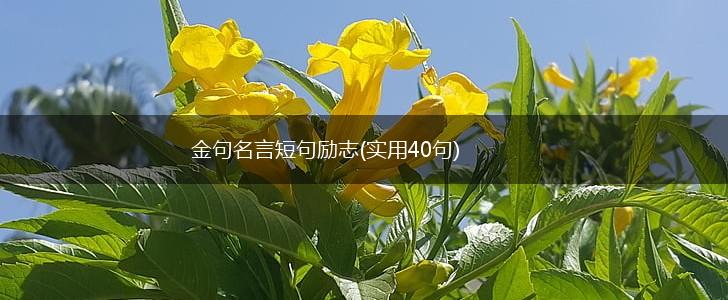 金句名言短句励志(实用40句),第1张 金句名言短句励志(实用40句),第1张