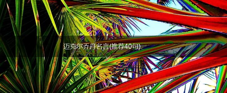 迈克尔乔丹名言(推荐40句),第1张