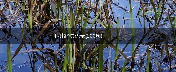 逗比经典语录(100句),第1张