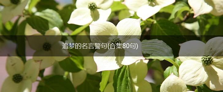 追梦的名言警句(合集80句),第1张