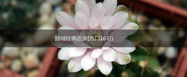 顾城经典语录(热门16句),第1张