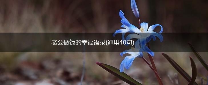 老公做饭的幸福语录(通用40句),第1张