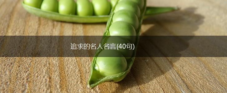 追求的名人名言(40句),第1张 追求的名人名言(40句),第1张