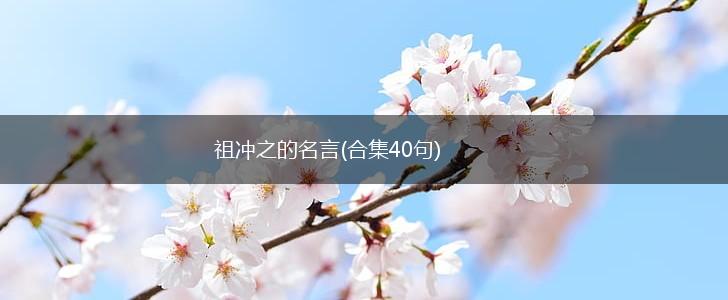 祖冲之的名言(合集40句),第1张