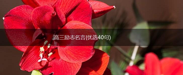 高三励志名言(优选40句),第1张