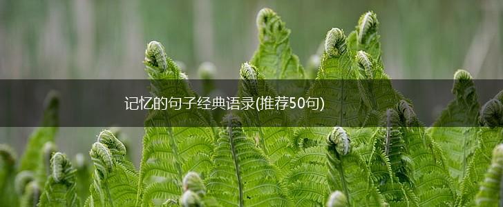 记忆的句子经典语录(推荐50句),第1张