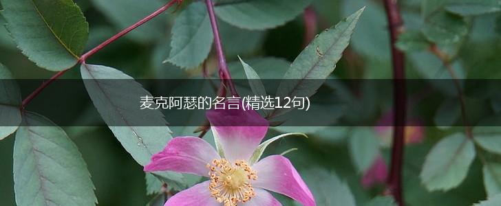 麦克阿瑟的名言(精选12句),第1张