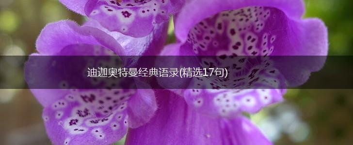 迪迦奥特曼经典语录(精选17句),第1张
