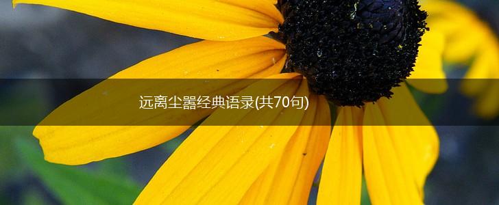 远离尘嚣经典语录(共70句),第1张