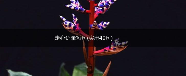 走心语录短句(实用40句),第1张