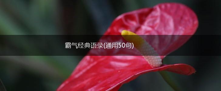 霸气经典语录(通用50句),第1张