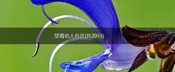 禁毒名人名言(共20句),第1张