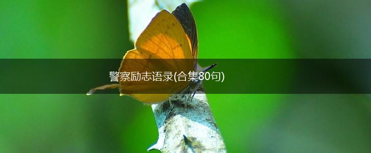 警察励志语录(合集80句),第1张