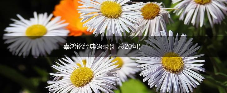 辜鸿铭经典语录(汇总20句),第1张