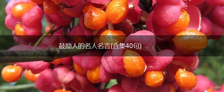 鼓励人的名人名言(合集40句),第1张