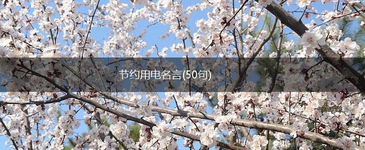节约用电名言(50句),第1张