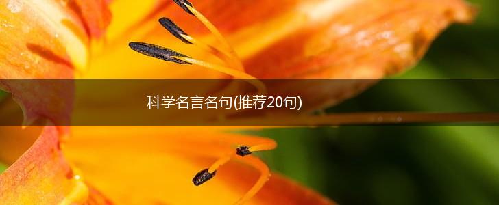科学名言名句(推荐20句),第1张 科学名言名句(推荐20句),第1张