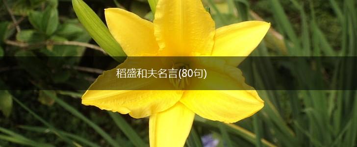 稻盛和夫名言(80句),第1张