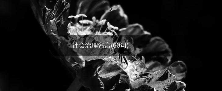 社会治理名言(60句),第1张