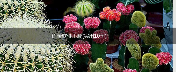 语录软件下载(实用10句),第1张