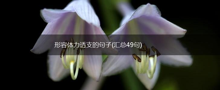 形容体力透支的句子(汇总49句),第1张