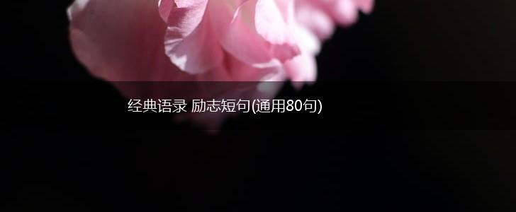 经典语录 励志短句(通用80句),第1张