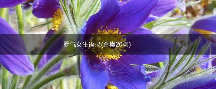 霸气女生语录(合集20句),第1张