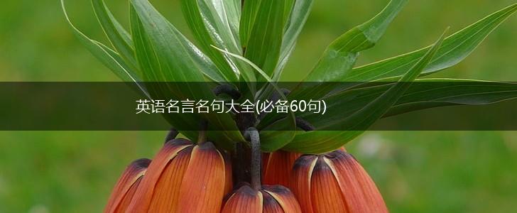 英语名言名句大全(必备60句),第1张