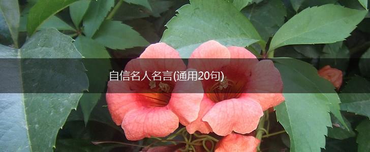 自信名人名言(通用20句),第1张