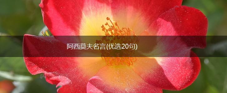 阿西莫夫名言(优选20句),第1张