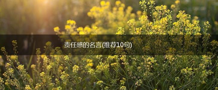 责任感的名言(推荐10句),第1张 责任感的名言(推荐10句),第1张