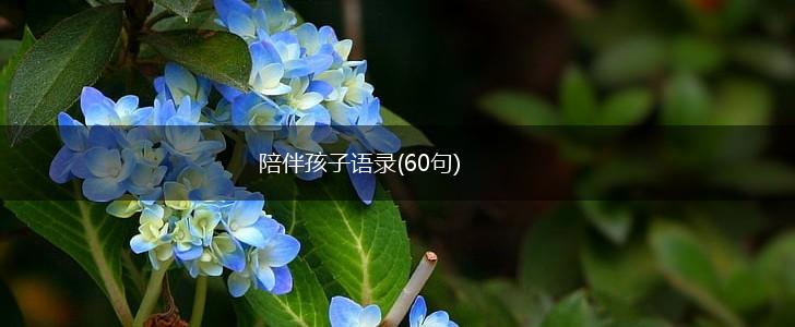 陪伴孩子语录(60句),第1张