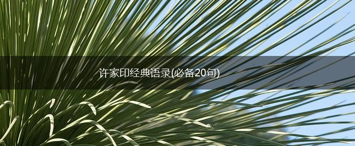 许家印经典语录(必备20句),第1张