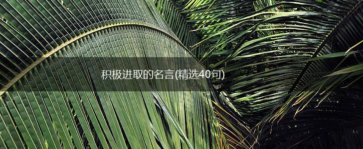 积极进取的名言(精选40句),第1张