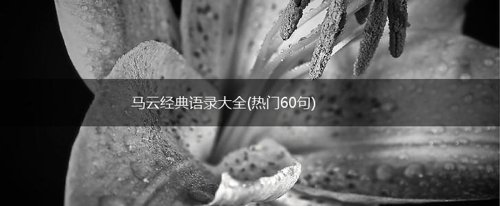 马云经典语录大全(热门60句),第1张